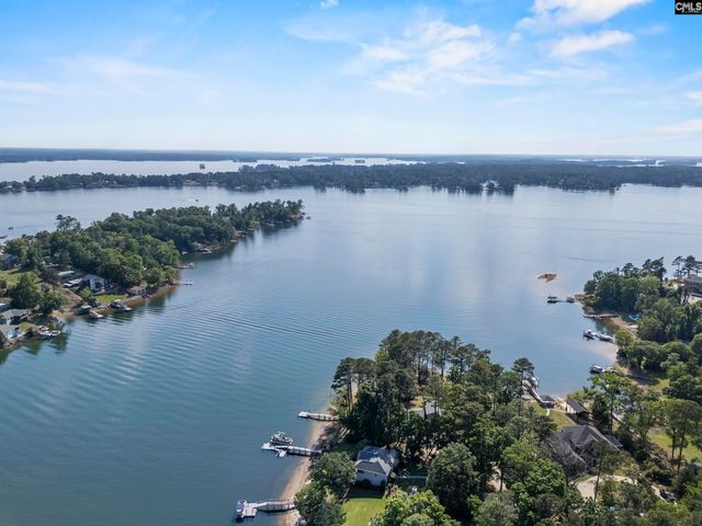 315 Old Landing Court, Chapin, SC 29036