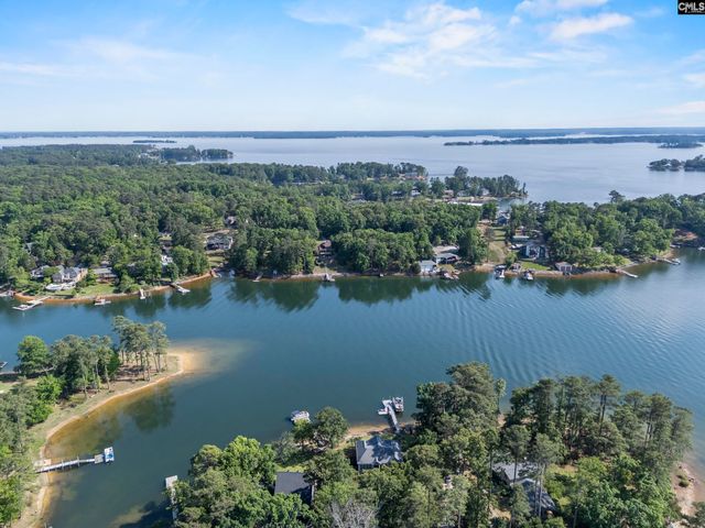 315 Old Landing Court, Chapin, SC 29036
