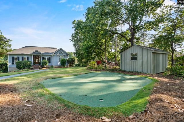 315 Old Landing Court, Chapin, SC 29036