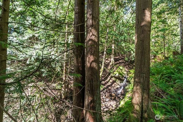 22 Berry Wood Place, Bellingham, WA 98229