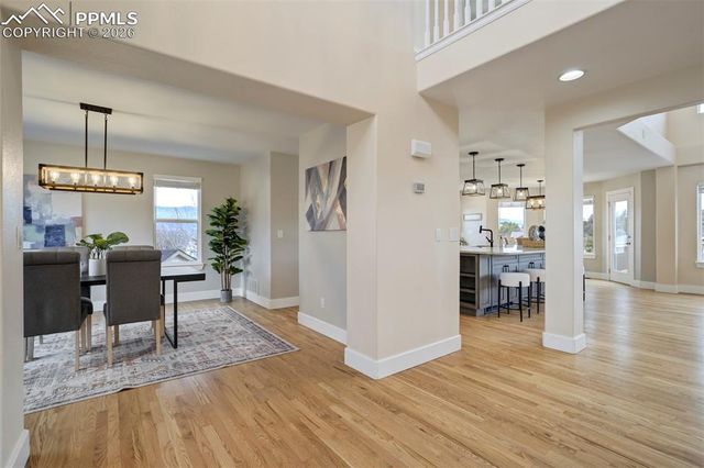 13860 Horsetail Terrace, Colorado Springs, CO 80921