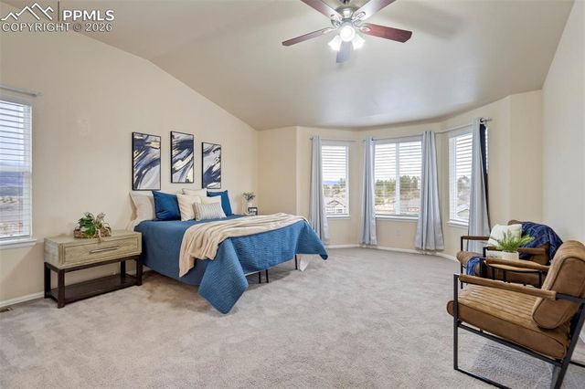 13860 Horsetail Terrace, Colorado Springs, CO 80921