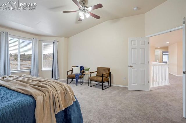 13860 Horsetail Terrace, Colorado Springs, CO 80921