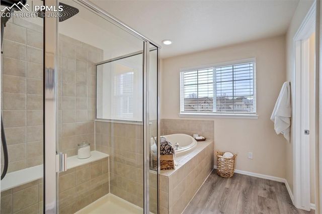 13860 Horsetail Terrace, Colorado Springs, CO 80921