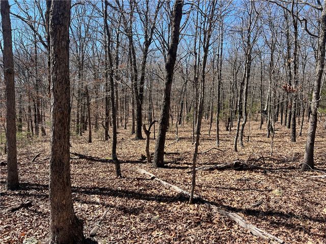 380 Madison 6518, Huntsville, AR 72740