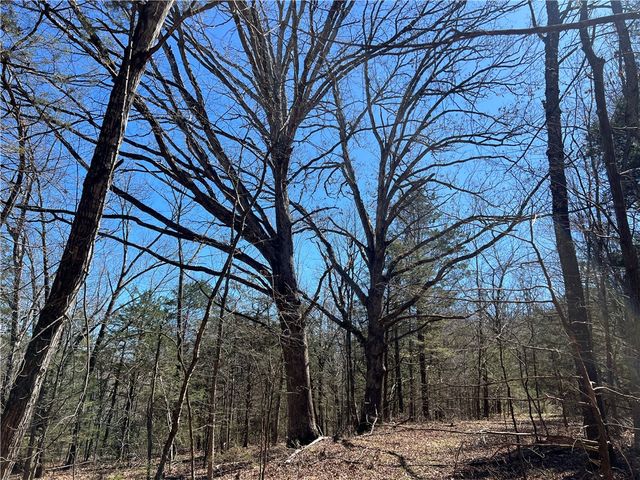 380 Madison 6518, Huntsville, AR 72740