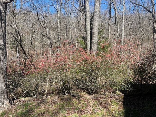 380 Madison 6518, Huntsville, AR 72740