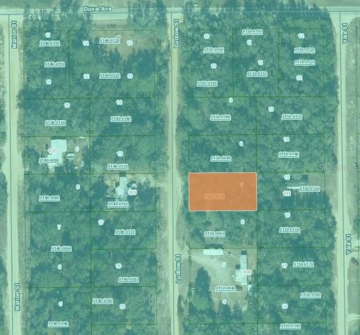 LUDLOW STREET, Interlachen, FL 32148