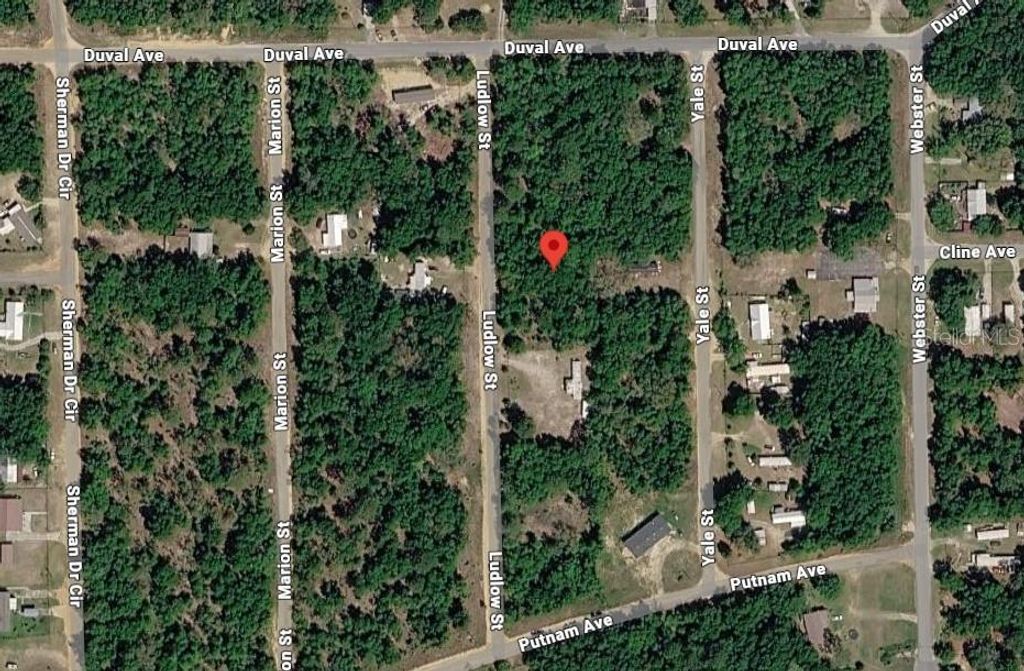 LUDLOW STREET, Interlachen, FL 32148