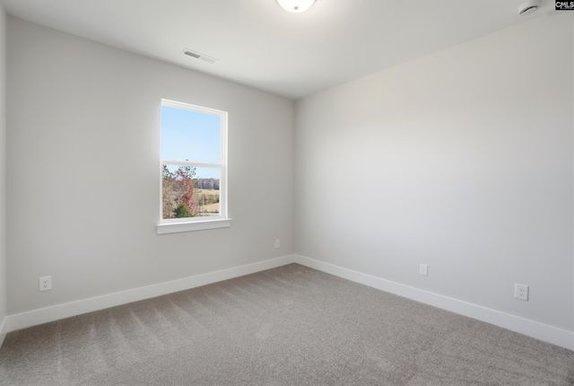 36 Honey Crisp Court, Elgin, SC 29045