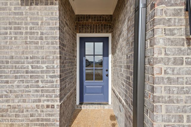 13875 Molly Madeline Lane, Olive Branch, MS 38654