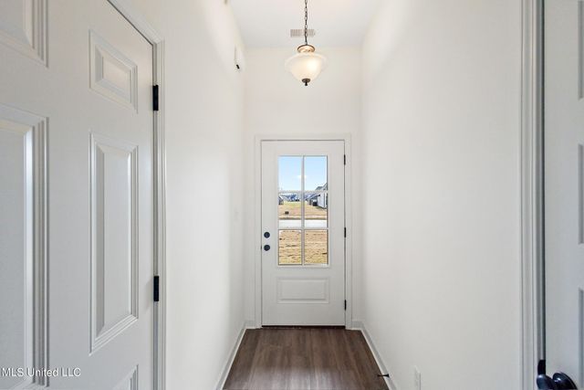 13875 Molly Madeline Lane, Olive Branch, MS 38654