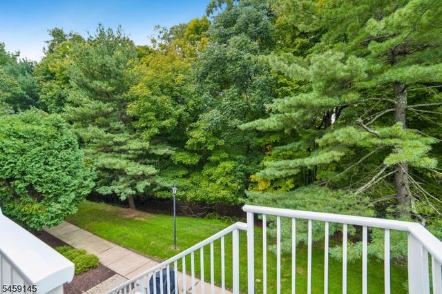 20 Encampment Drive, Bedminster Twp., NJ 07921