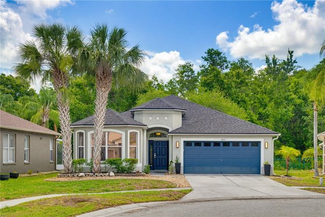 10842 WILD COTTON COURT, Land O Lakes, FL 34638