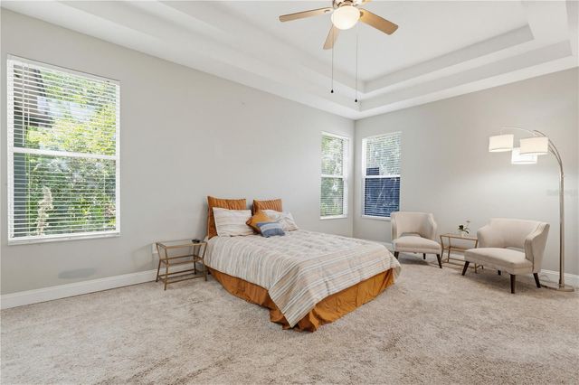 10842 WILD COTTON COURT, Land O Lakes, FL 34638