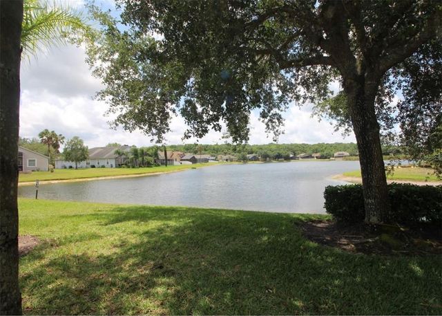 10842 WILD COTTON COURT, Land O Lakes, FL 34638