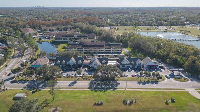 5039 BARROWE DRIVE, Tampa, FL 33624