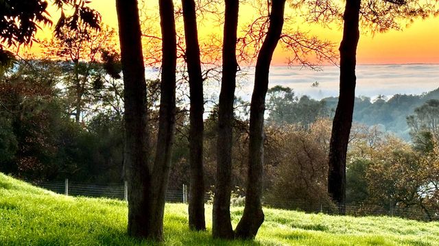 560 Oak View Ct, Pilot Hill, CA 95664