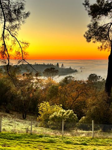 560 Oak View Ct, Pilot Hill, CA 95664