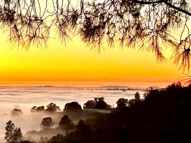 560 Oak View Ct, Pilot Hill, CA 95664