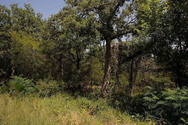 TBD Post Oak Rim DR, Bastrop, TX 78602