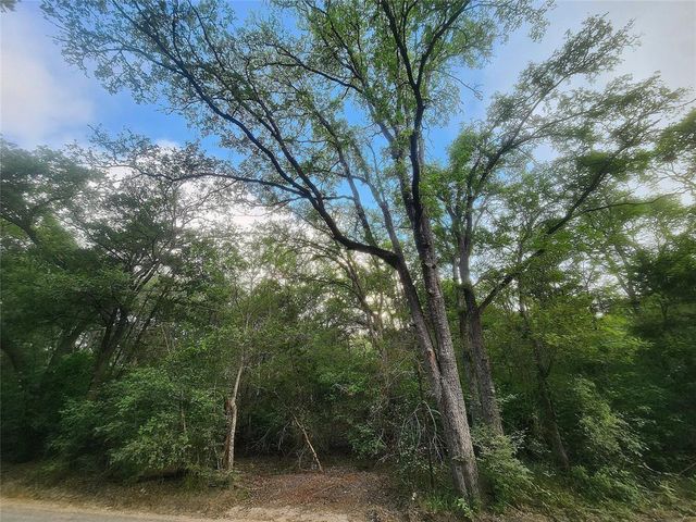TBD Post Oak Rim DR, Bastrop, TX 78602