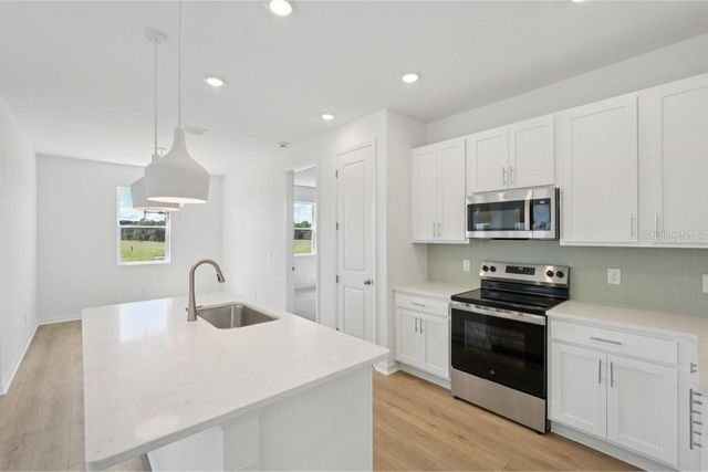 30135 EMERALD FOREST DRIVE, Mount Dora, FL 32757
