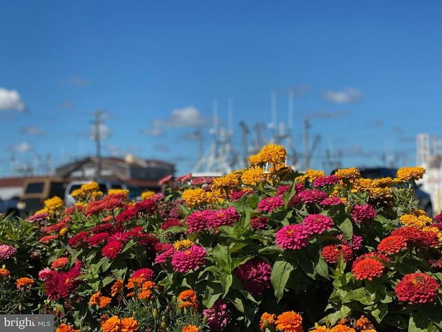 17 E 14TH ST, Barnegat Light, NJ 08006