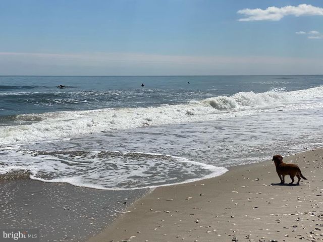 17 E 14TH ST, Barnegat Light, NJ 08006