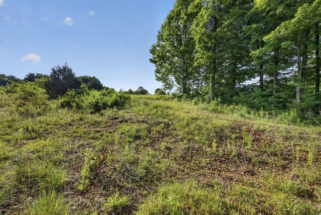 0 Hidden Cove Lane, Allons, TN 38541