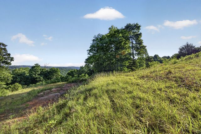 0 Hidden Cove Lane, Allons, TN 38541