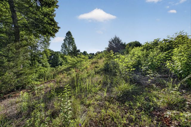 0 Hidden Cove Lane, Allons, TN 38541