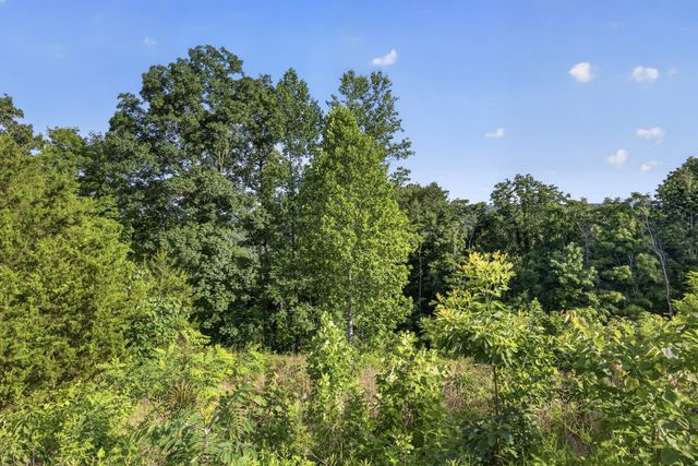 0 Hidden Cove Lane, Allons, TN 38541