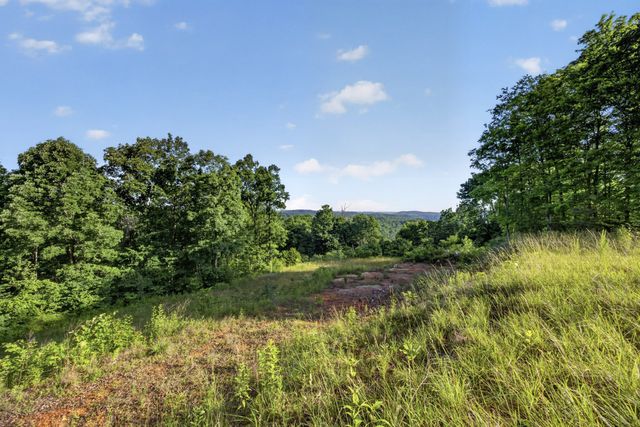 0 Hidden Cove Lane, Allons, TN 38541