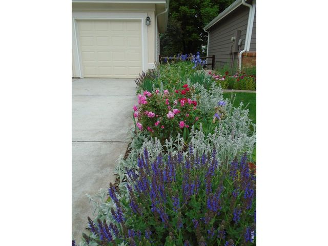 1614 Fantail Ct, Fort Collins, CO 80528