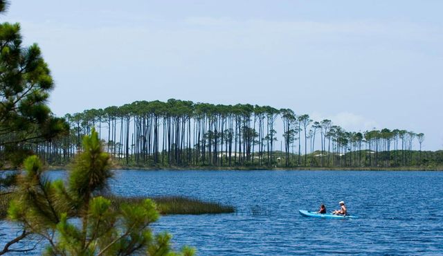 255 E Seahorse Circle, Santa Rosa Beach, FL 32459