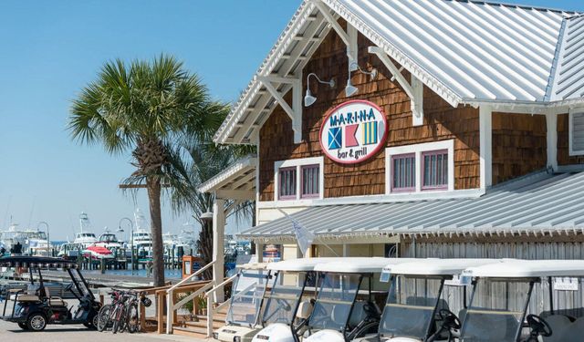 255 E Seahorse Circle, Santa Rosa Beach, FL 32459