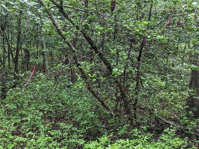 0 Good Hope Rd, Lanexa, VA 23089