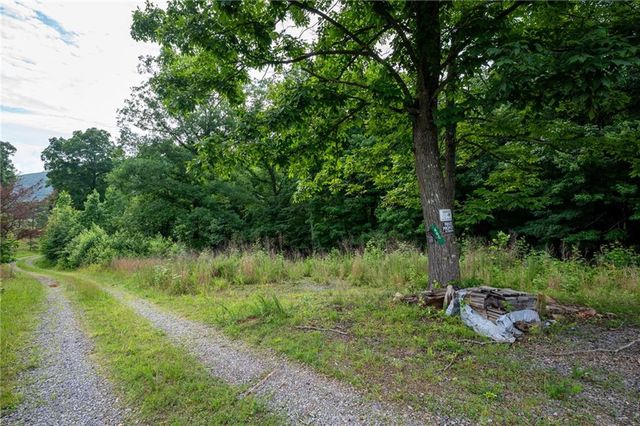 00 Newsome Gap Road, Rising Fawn, GA 30738