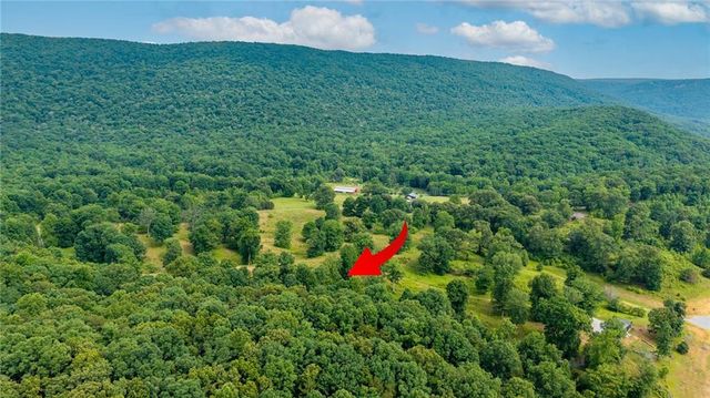 00 Newsome Gap Road, Rising Fawn, GA 30738