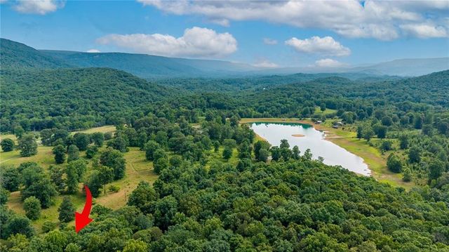 00 Newsome Gap Road, Rising Fawn, GA 30738