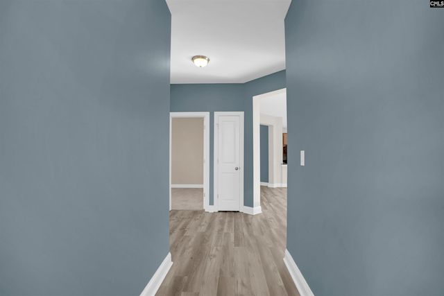 158 whispering oak Lane, Chapin, SC 29036