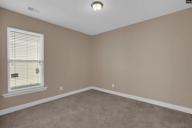 158 whispering oak Lane, Chapin, SC 29036