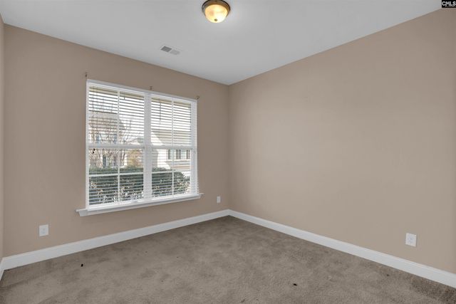 158 whispering oak Lane, Chapin, SC 29036