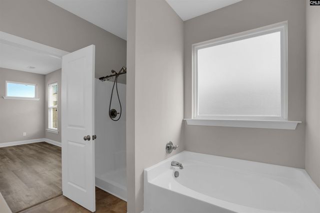 158 whispering oak Lane, Chapin, SC 29036