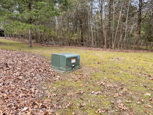 12112 Paw Paw Springs Rd, Arrington, TN 37014