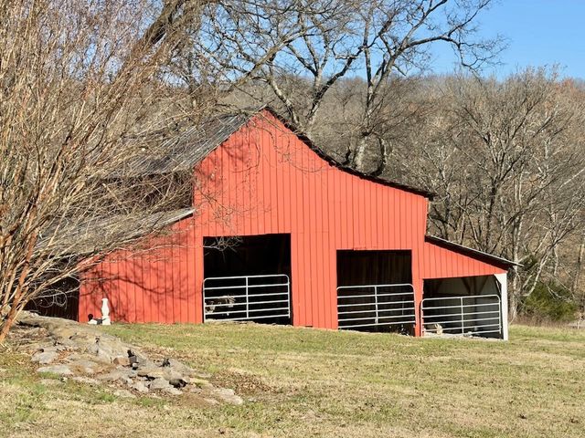 12112 Paw Paw Springs Rd, Arrington, TN 37014