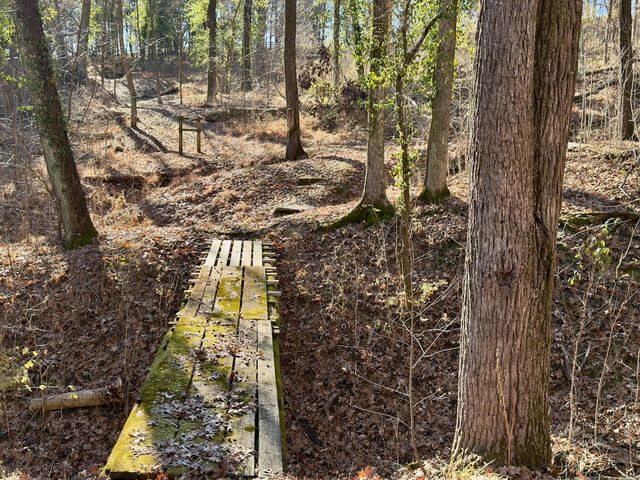 12112 Paw Paw Springs Rd, Arrington, TN 37014