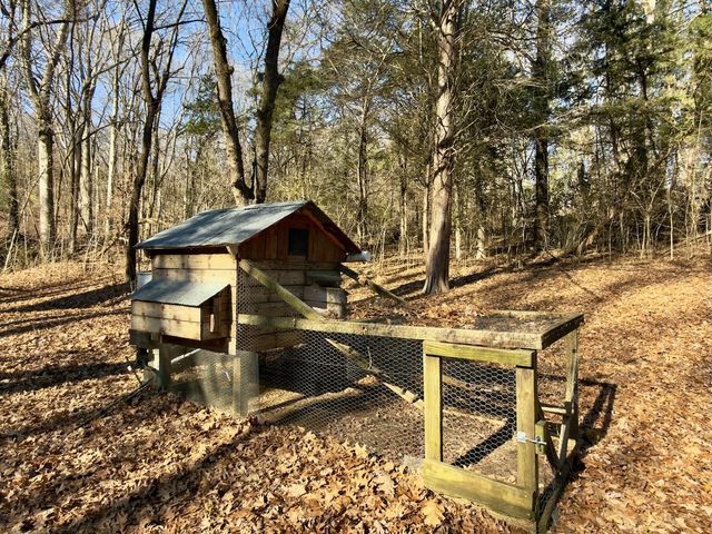 12112 Paw Paw Springs Rd, Arrington, TN 37014