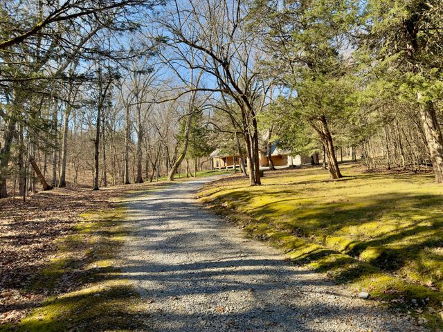 12112 Paw Paw Springs Rd, Arrington, TN 37014